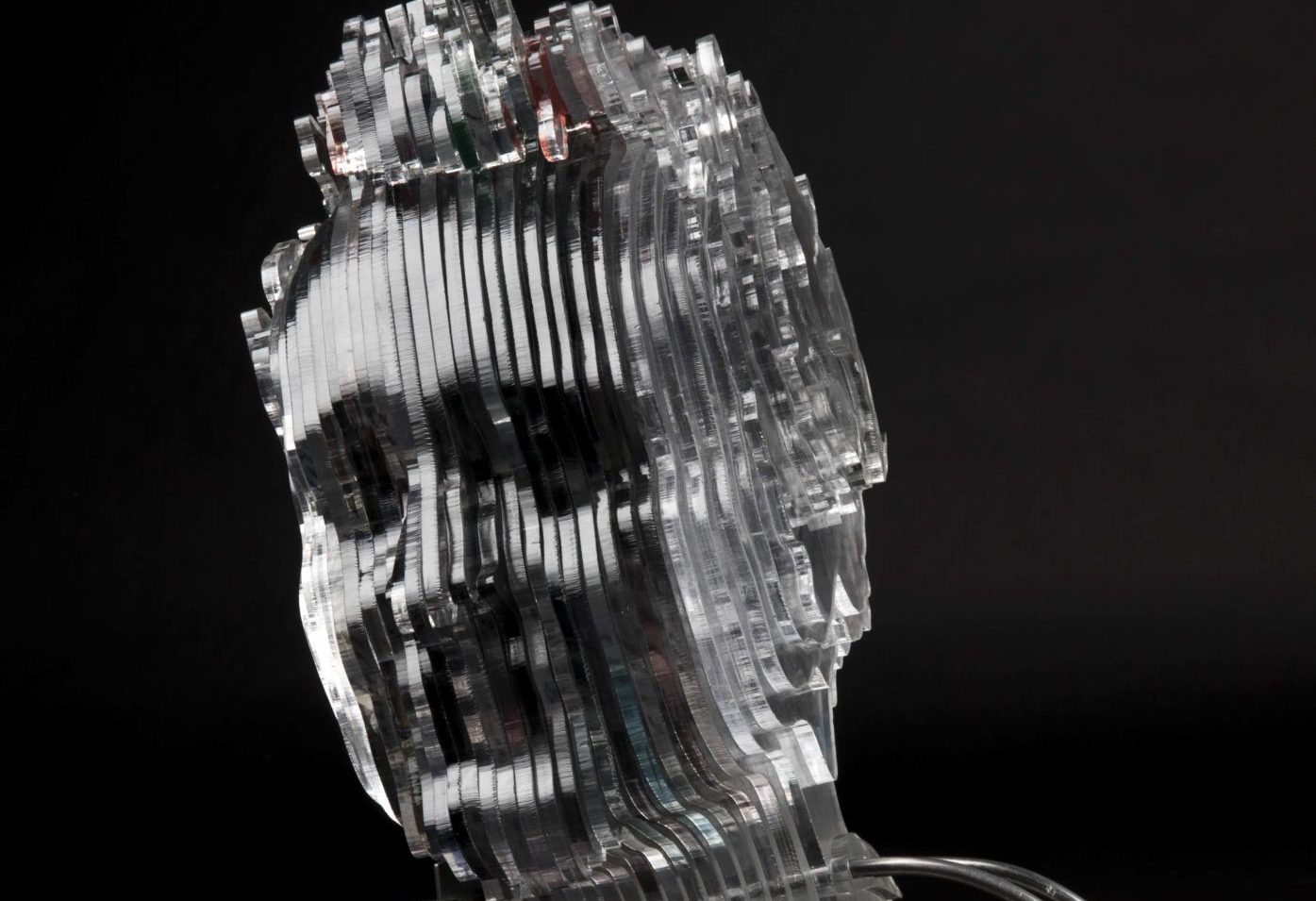 daily head transplant